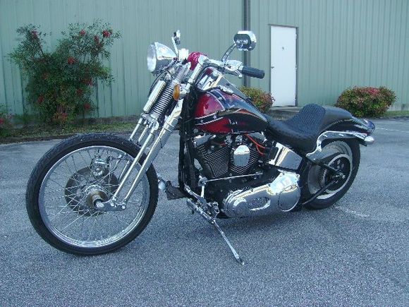 97 Springer Pics! 048