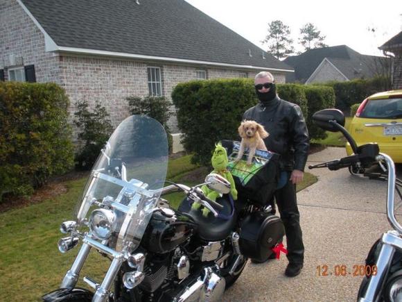 Pup wanted to ride along with the Grinch on the Toys for Tots ride.