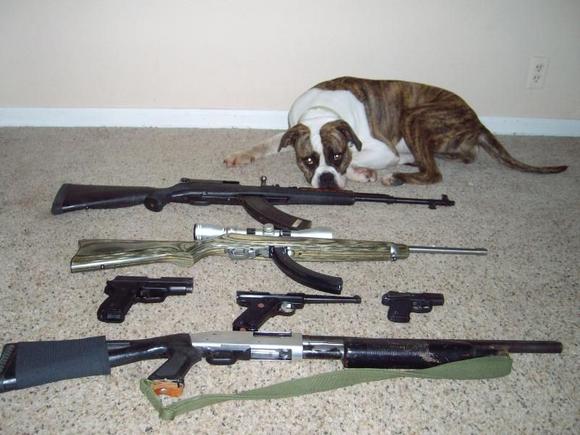 Guns