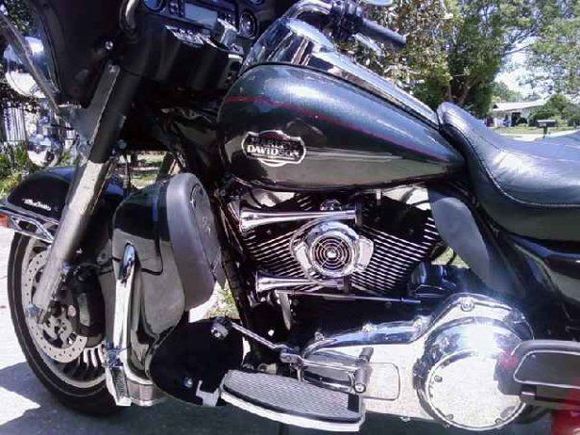 Lenale Parade Fan
Custom Mounted Air Horn