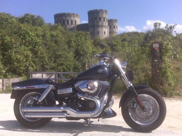 Fat Bob 030