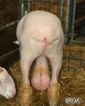 just looks like it hurts