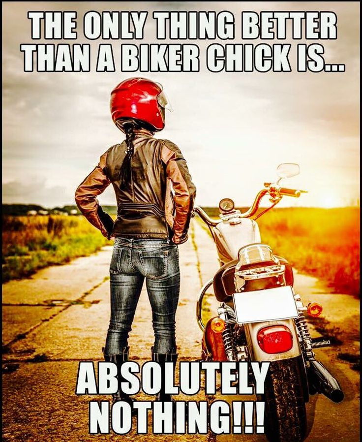 Best Harley Riding Memes Let S See Em Page 38 Harley Davidson