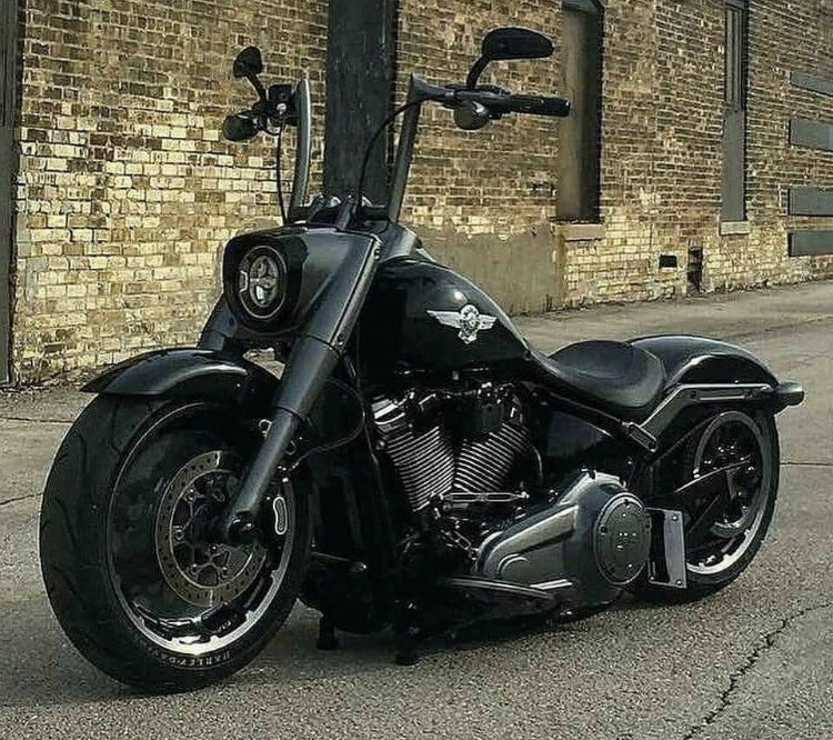 Anyone know the terminology for these handlebars? - Harley Davidson Forums