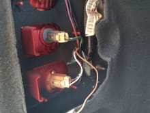 Driver side tail light connections.