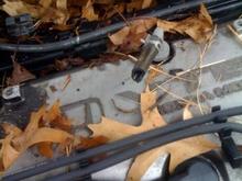 PCV hose chewed.