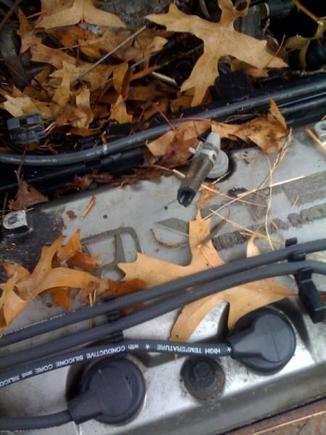 PCV hose chewed.