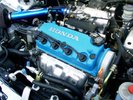 Gabe's Civic and CRX