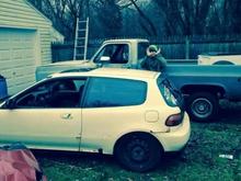 when i first brought her home