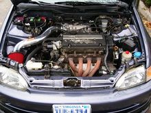 3113468655 1305dd9bec