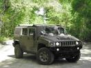 H2 in Jax