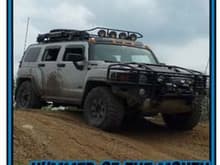 Rampart Hummer - Hummer of the Month for June 2011