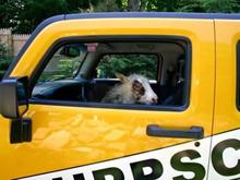 My truck