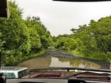 Now those are some pot holes!!! most were 2 feet deep!