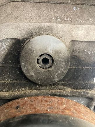 If this little guy strips out on you (like it did for me), a pair of pliers or channel locks will do.  Try not to gouge the cylinder head like I did.  