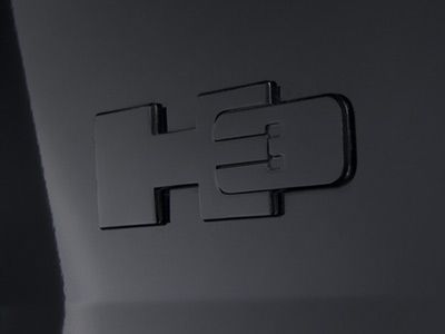 Cropped photo of my black vinyl decal emblem overlay.