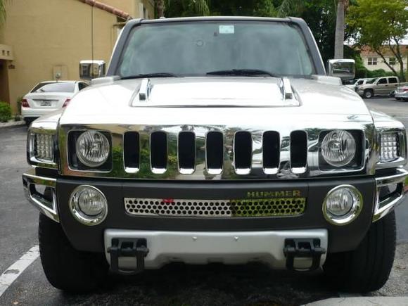 Front grille view
