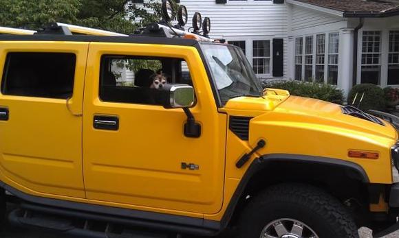 big truck with little dog