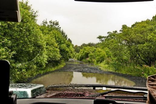 Now those are some pot holes!!! most were 2 feet deep!
