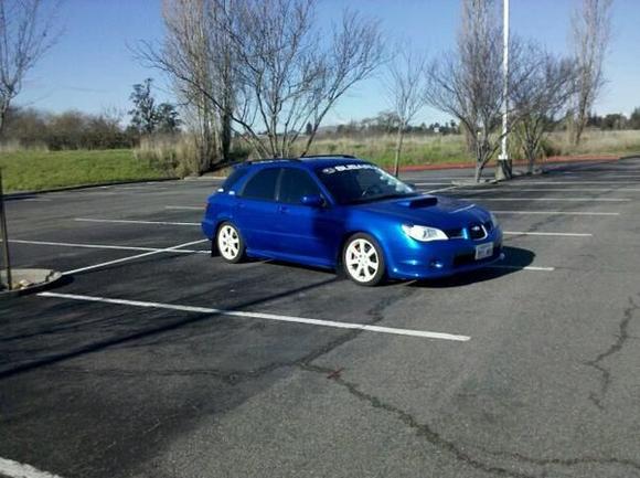 das blueberry2