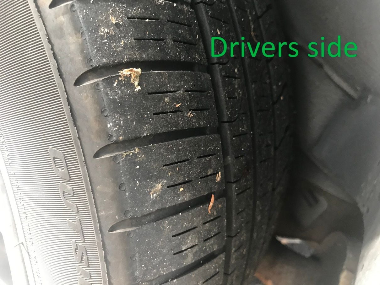 Rear tire wear, outer edge - Jaguar Forums - Jaguar Enthusiasts Forum