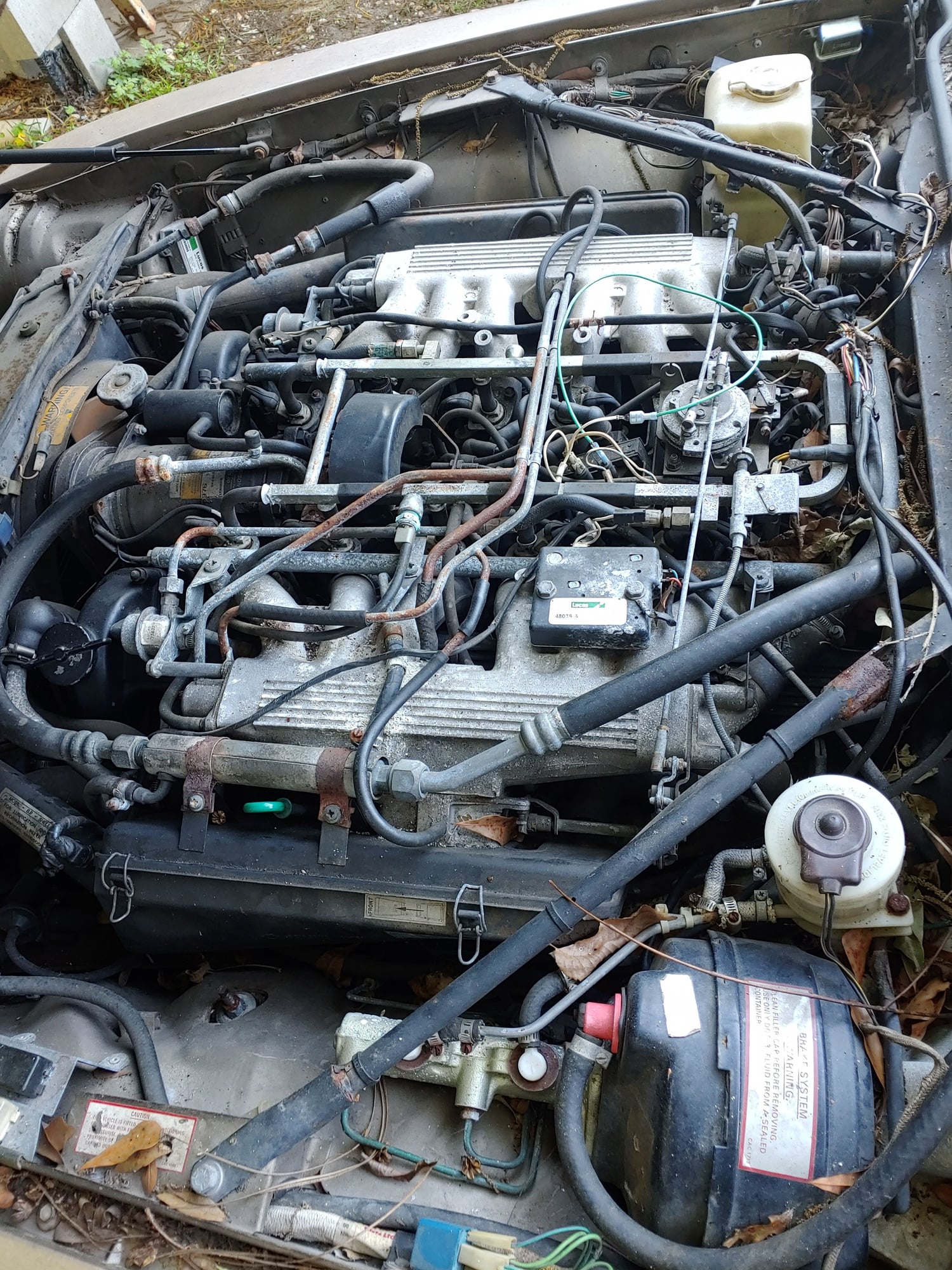 1988 Jaguar XJS - 88 xjs v12 for parts - Used - VIN Sajnv5845jc139585 - 80,000 Miles - 12 cyl - Automatic - Gold - Stapleton, AL 36578, United States