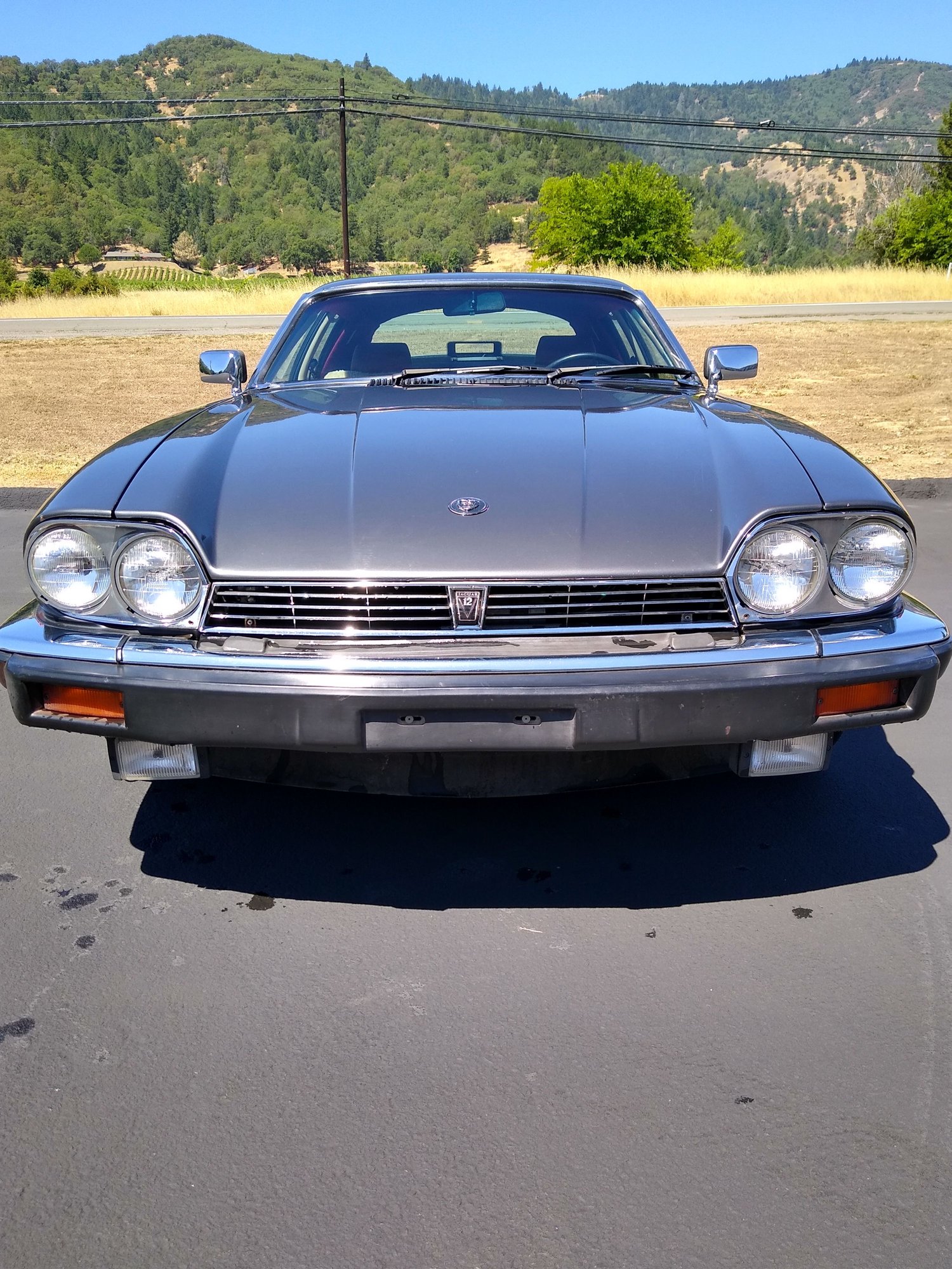 1986 Jaguar XJS - 1986 Jaguar XJS - Used - VIN sajnv5845gc133780 - 106,000 Miles - 12 cyl - 2WD - Automatic - Coupe - Gray - Ukiah, CA 95482, United States