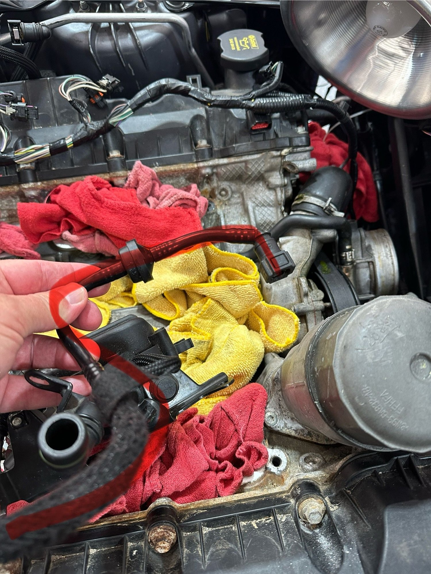 Other end of same hose. 