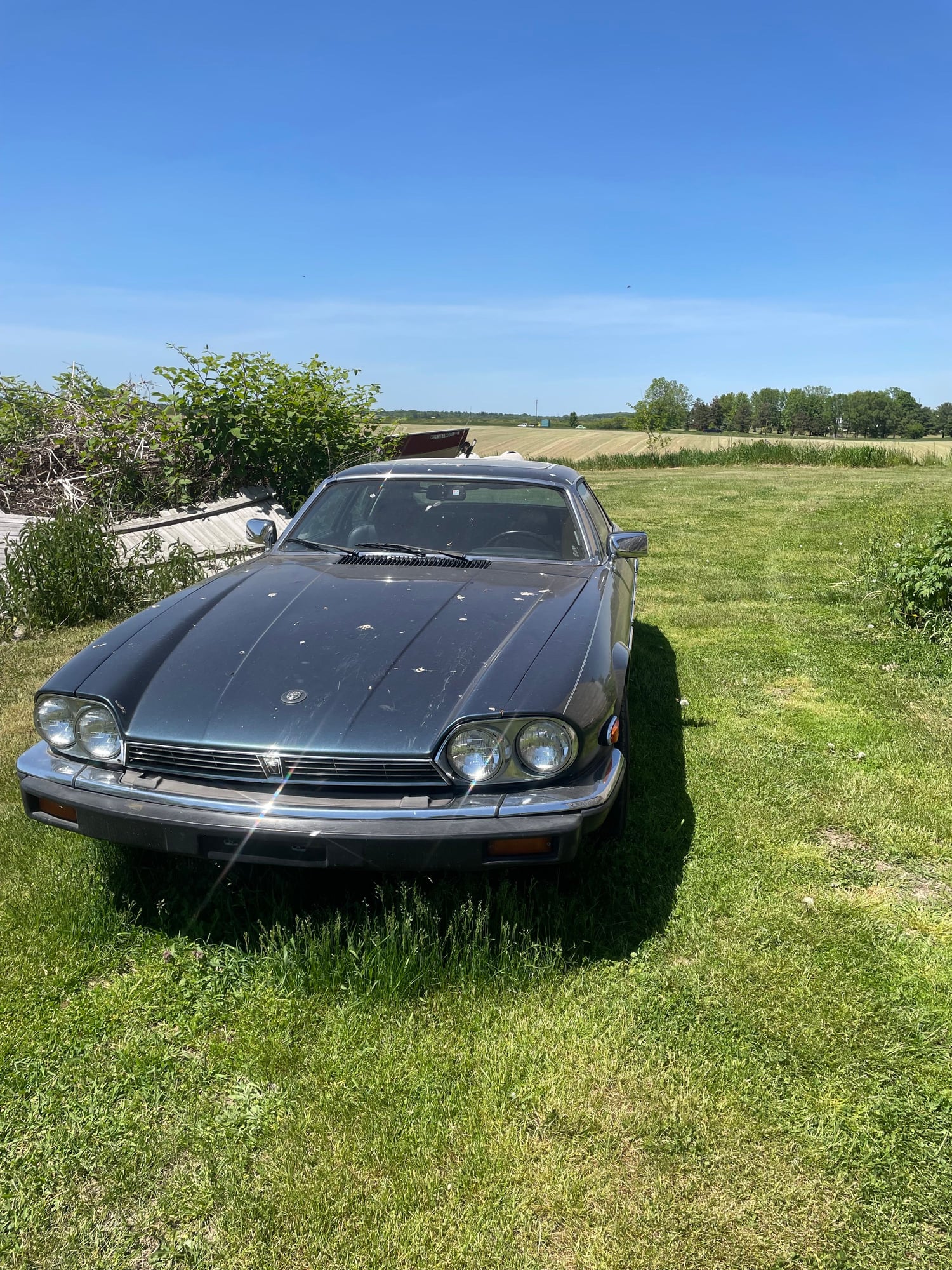 1985 Jaguar XJS - 1985 XJS - Used - VIN Sajnv5848fc119337 - 43,176 Miles - 12 cyl - 2WD - Automatic - Coupe - Blue - Wayland, MI 49348, United States