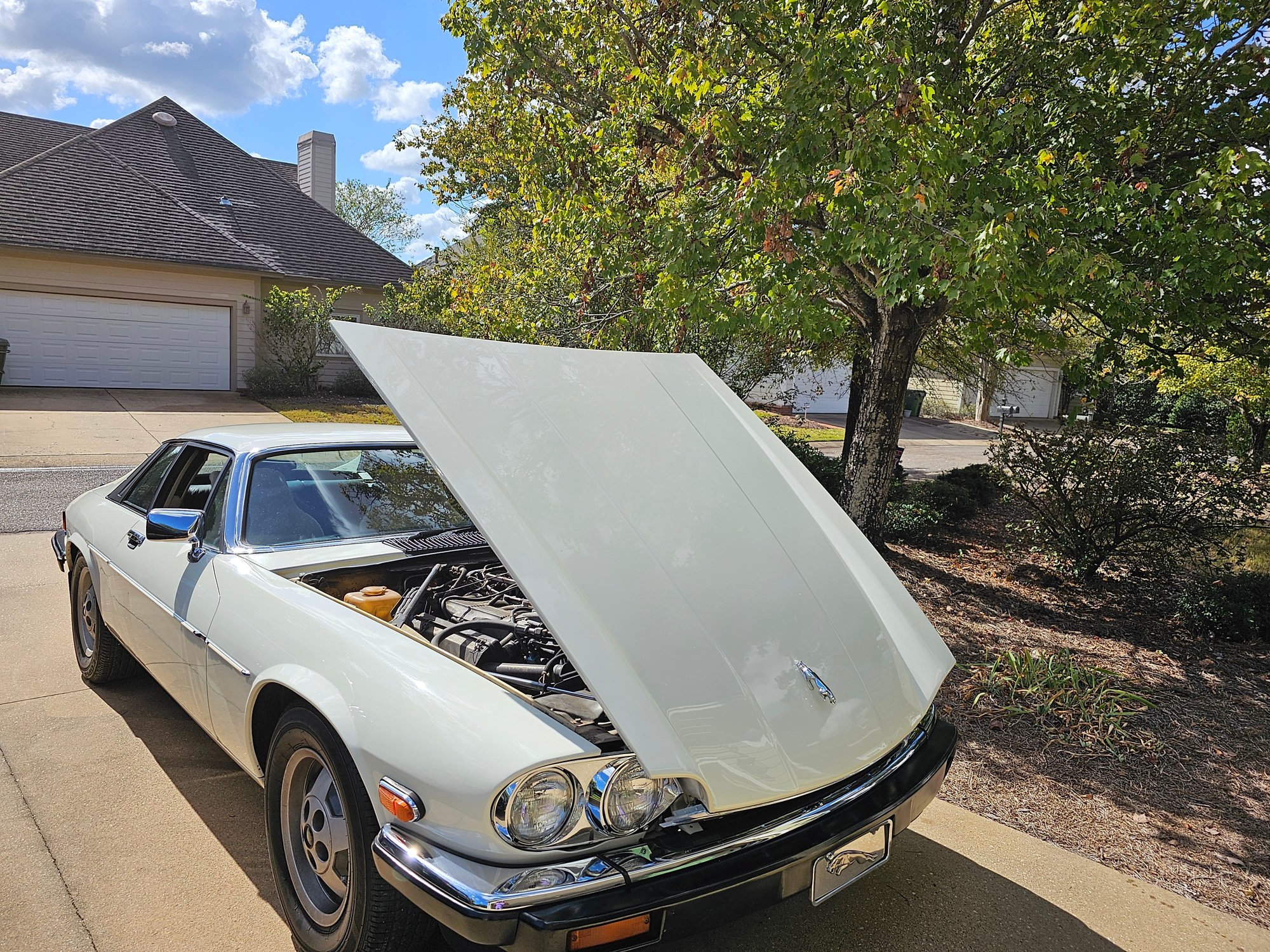 1988 Jaguar XJS - 1988 Jaguar XJS V12 - Used - VIN SAJNA5845JC144040 - 121,010 Miles - 12 cyl - Automatic - Coupe - White - Montgomery, AL 36116, United States