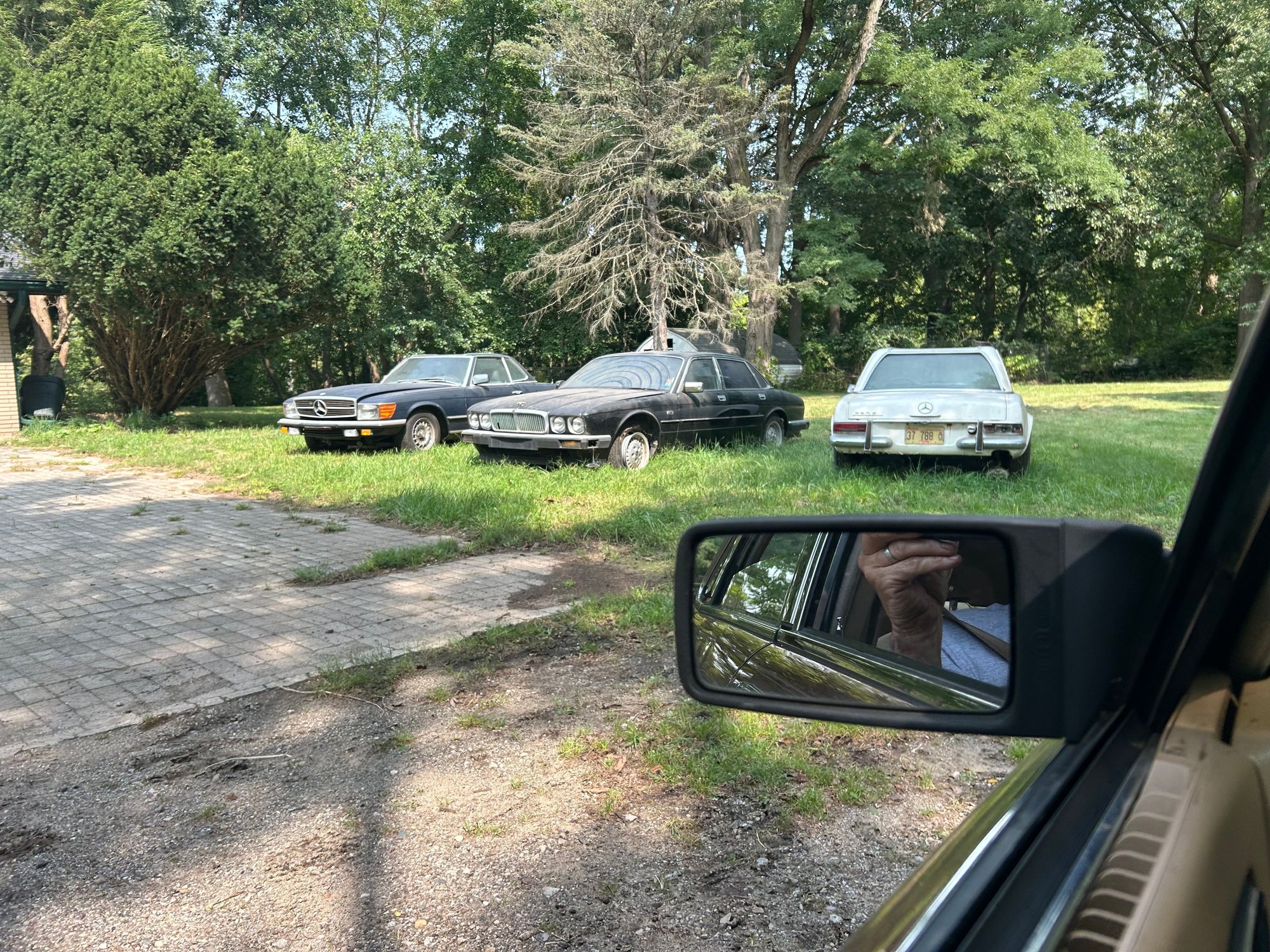 resting under a tree between 2 Mercedes' after being exhumed