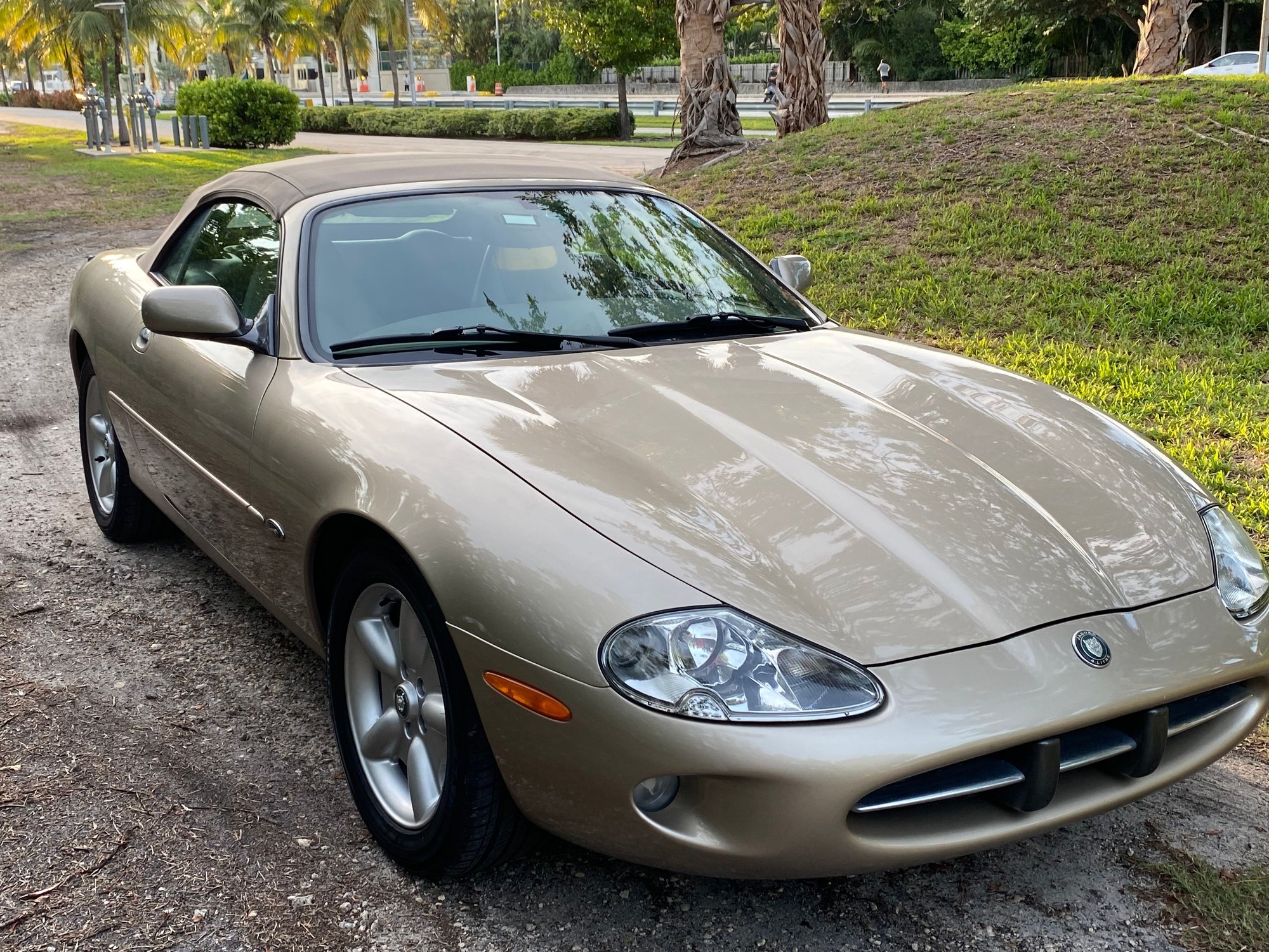 1999 Jaguar XK8 - 1999 Xk8 Convertible - 80k miles - **Auction** - Used - VIN SAJgx2040xc03808 - 80,000 Miles - 8 cyl - 2WD - Automatic - Convertible - Beige - Sunrise, FL 33323, United States