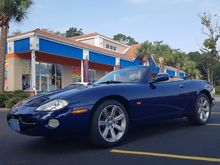 Blue XK8 looks extra ice with Palm Trees and blues skies, took this in North Myrtle Beach.