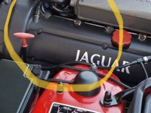 Not my car but this is then area I smell the faint gasoline. The opposite side there is no smell.