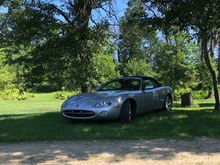 We have two cats here on our farm. One likes to lay in the grass after a bath. The other one kills mice. 