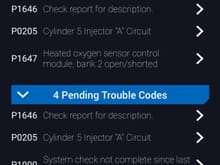 Recently started the vehicle this morning and I noticed a rough idle and a shake at idle.  Decided to read some codes and these came up. Anyone feel like shedding some steps in whic