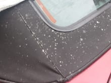 Help my Soft Top's gone Mouldy!