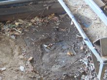 The hole that She fell down is nearly a foot deep!