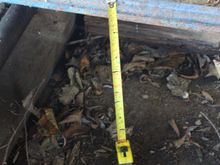 'Cherry' Dropped down a hole 14 inches deep, with a Steel Track that was running all the way down the side.