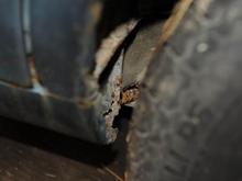 Right side wheel well