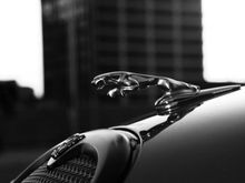 jaguar2[1]
