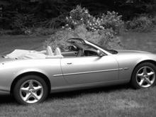 another shot with color options