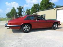 84XJSd