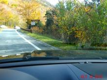 In the white mts.