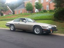 the best one in the bunch