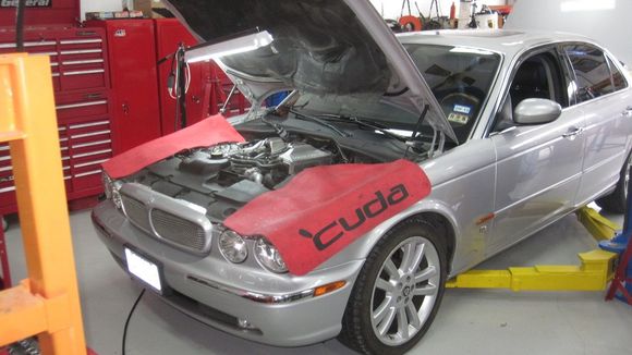 Getting ready for heart transplant