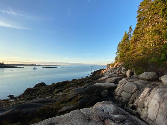 What an gorgeous morning! 