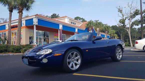 Blue XK8 looks extra ice with Palm Trees and blues skies, took this in North Myrtle Beach.