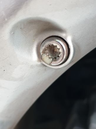 Well, you can see where the coating was lost on my wheel,  that the original is plastic as well ....

unless someone  replaced them before ??
Has anyone a photo of a removed bolt ?