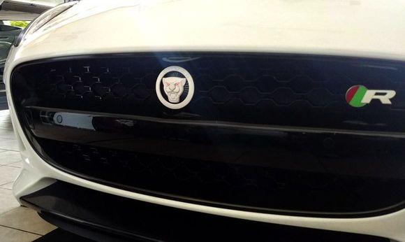 My Front painted Polaris White - Growler too :) Car looks yellow in picture due to lighting and my poor photography skills...But it is White!